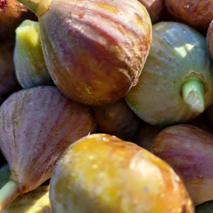 Отель Au Clos Des Figues Chambon  Экстерьер фото