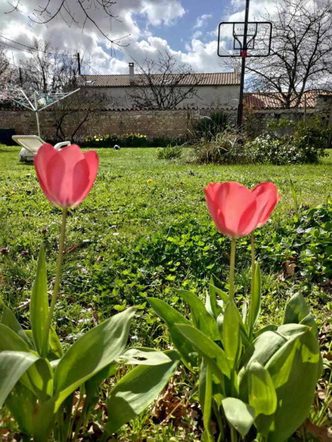 Отель Au Clos Des Figues Chambon  Экстерьер фото