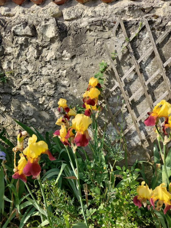 Отель Au Clos Des Figues Chambon  Экстерьер фото
